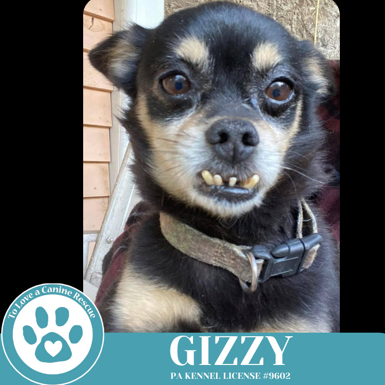 Gizzy 041225