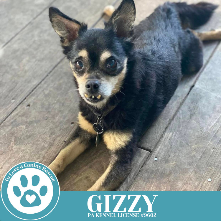 Gizzy 041225