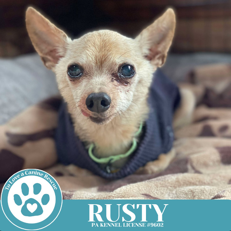 Rusty 041225