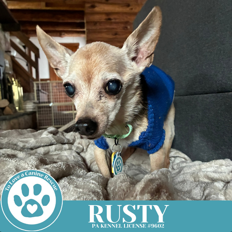 Rusty 041225