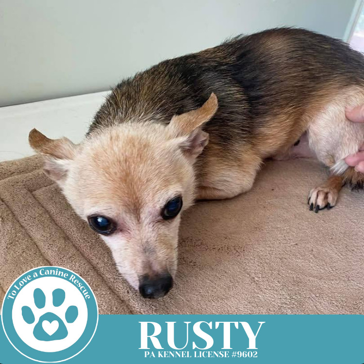 Rusty 041225
