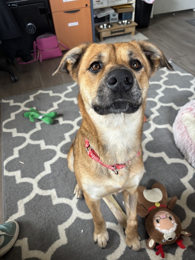 Penny