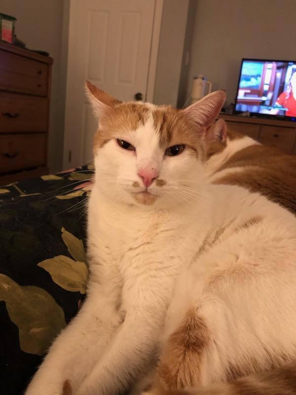 Colby