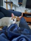 Colby photo 4