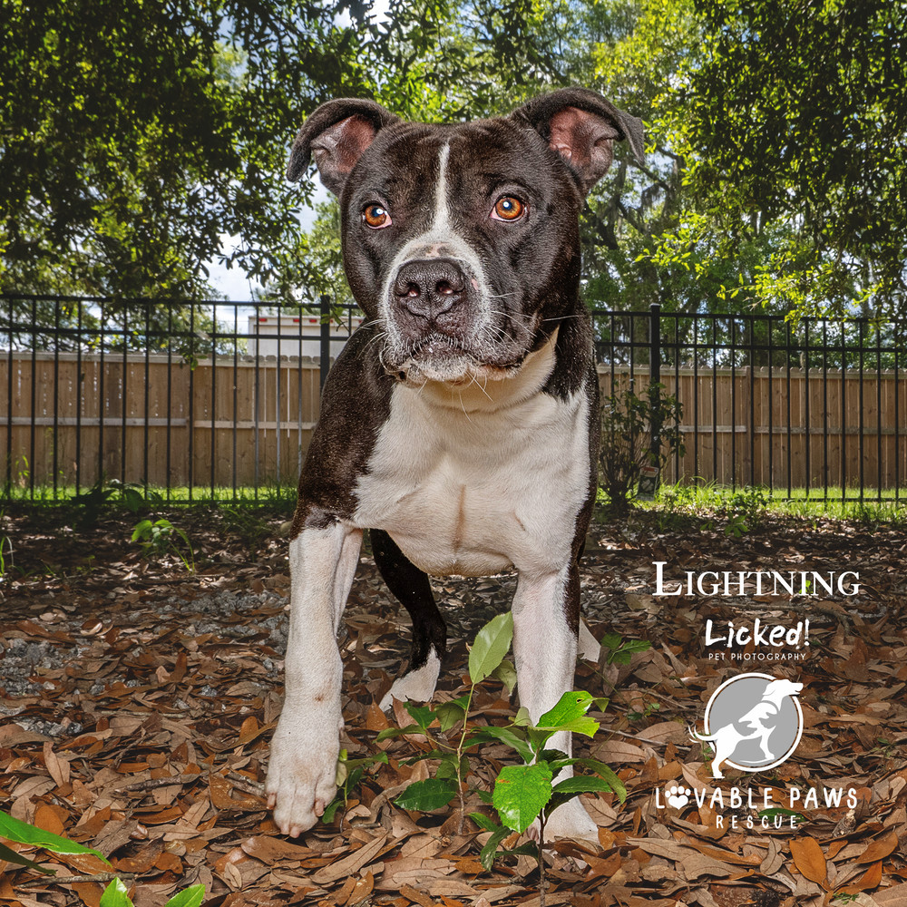 Lightning