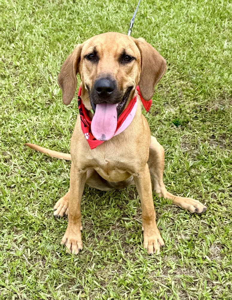 Freya