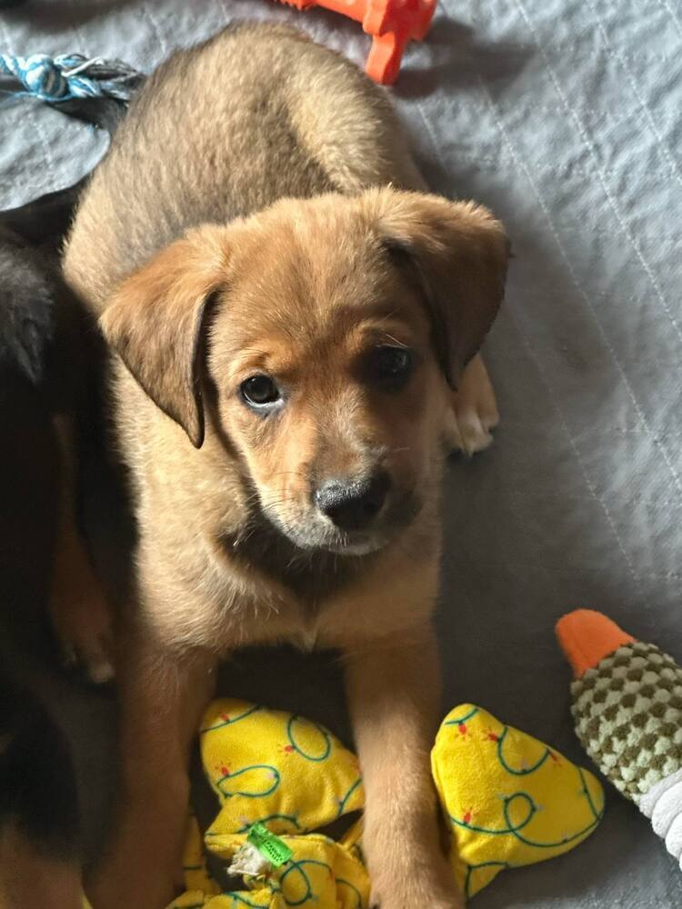 Spud
