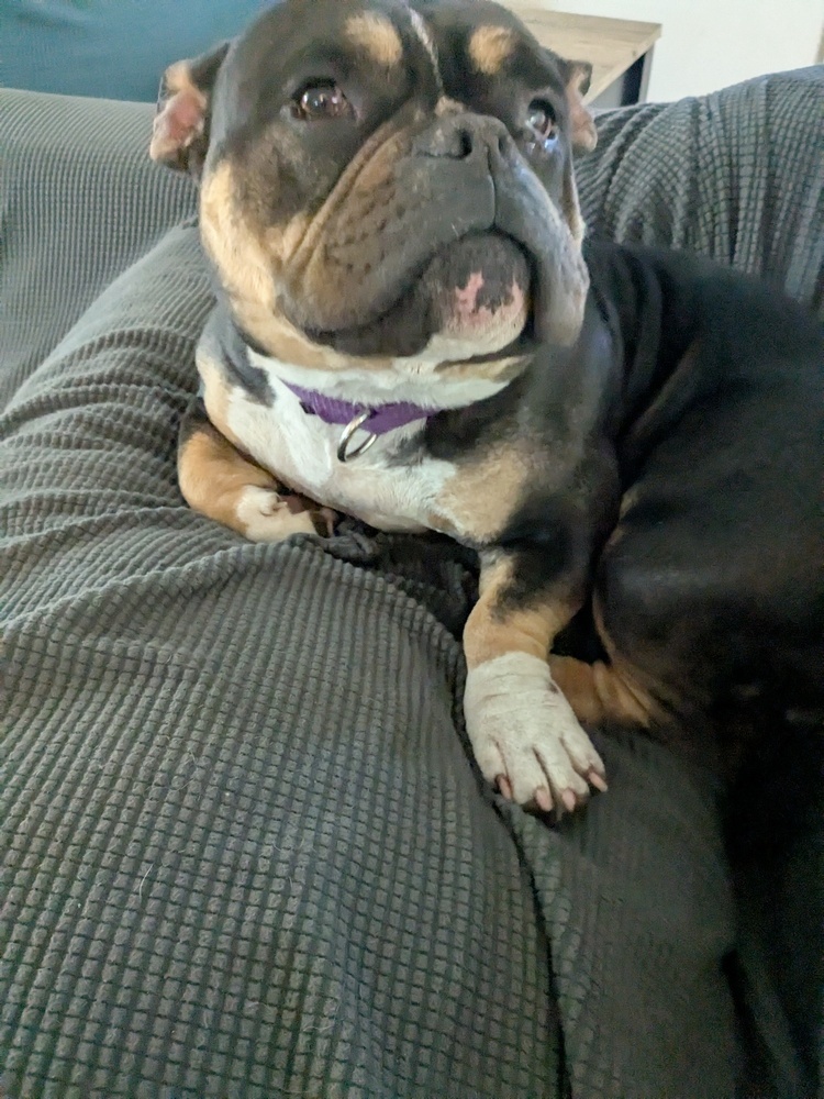 Luna