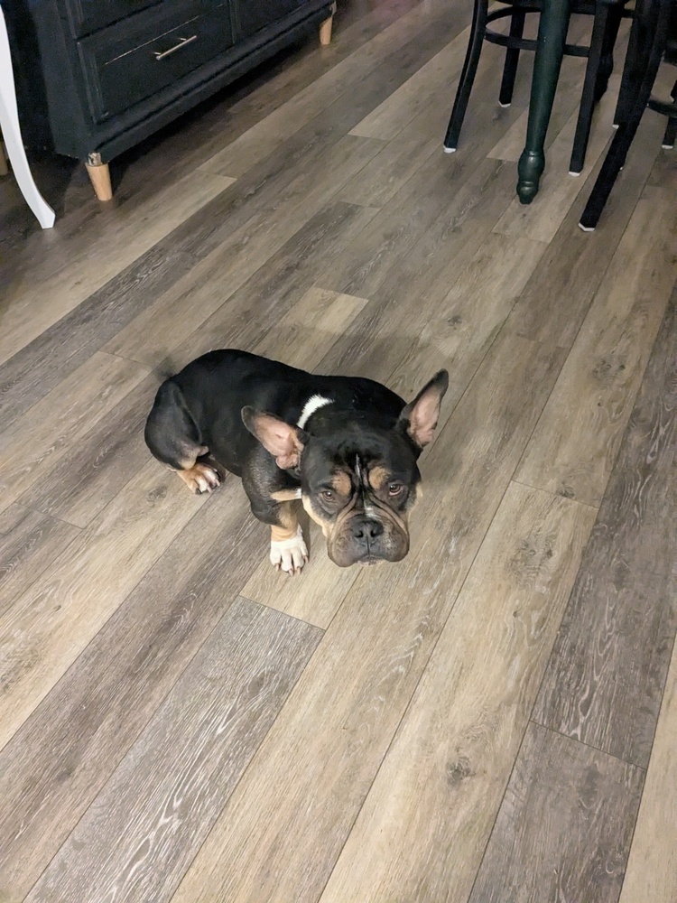 Luna