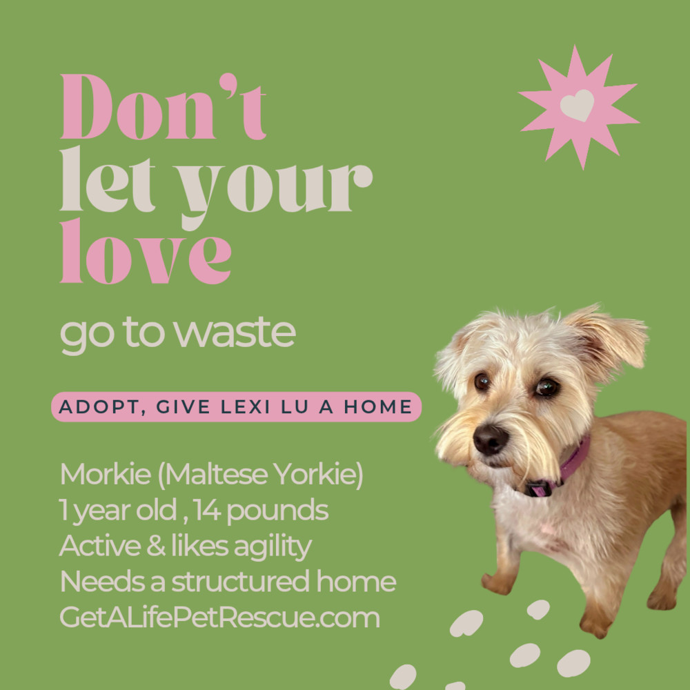 Lexi-Lu
