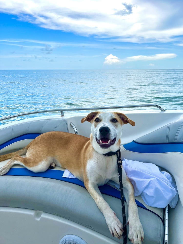 Paco