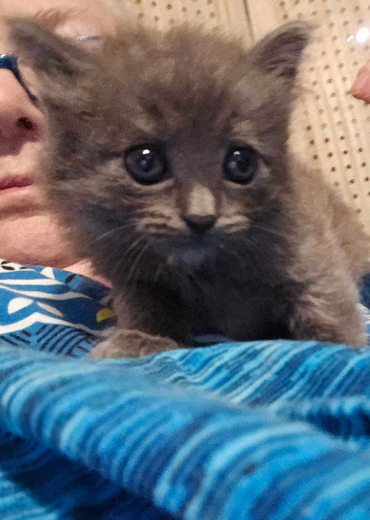 Xena