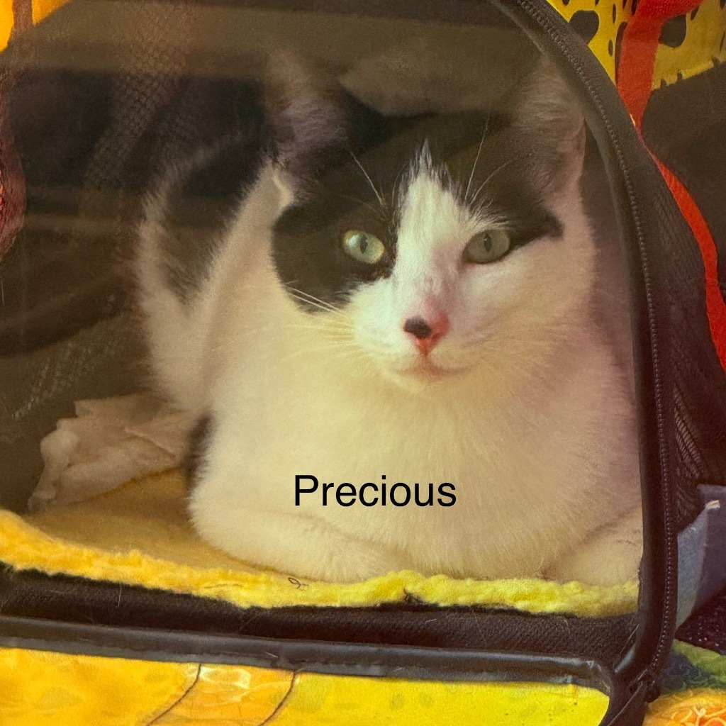 Precious