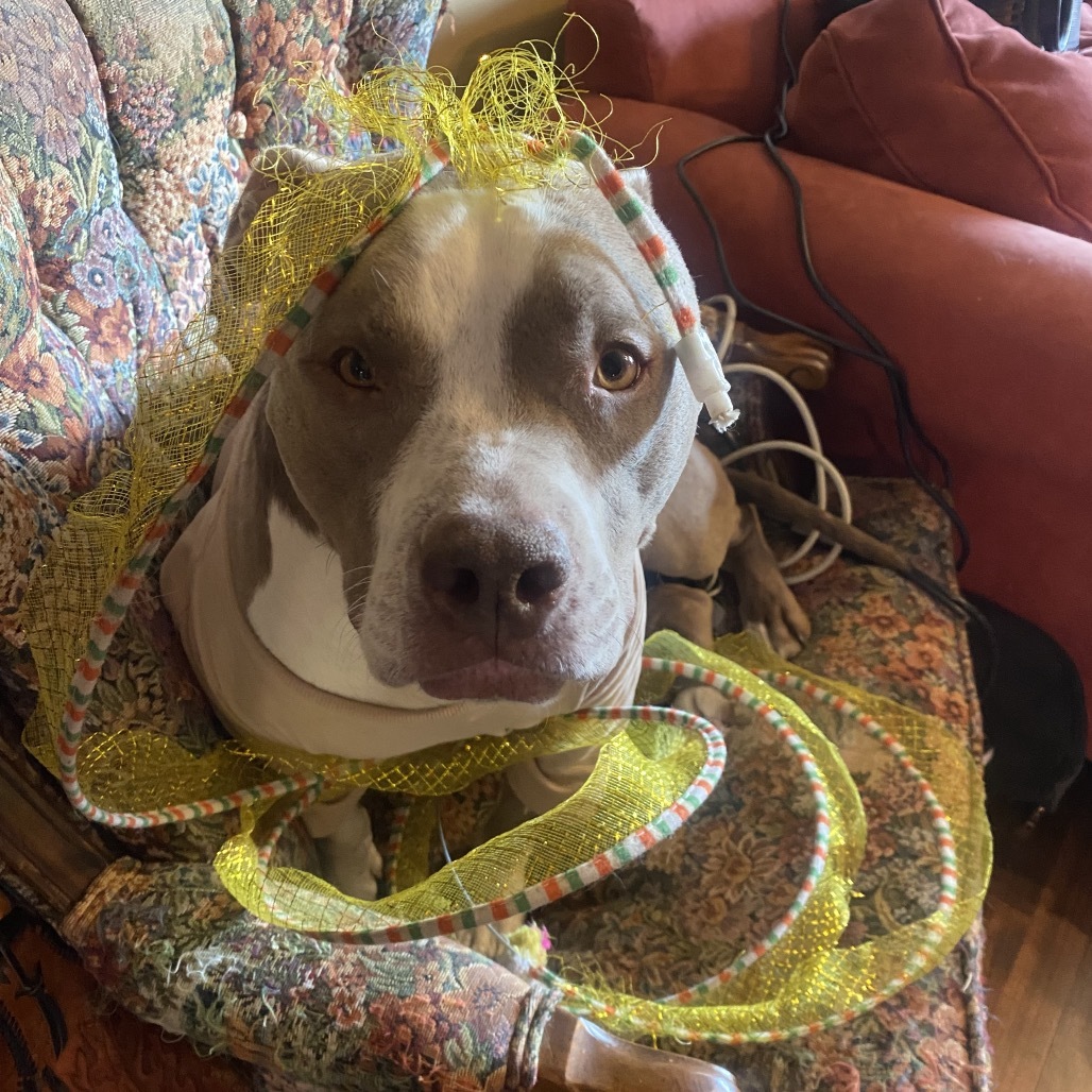 Bella