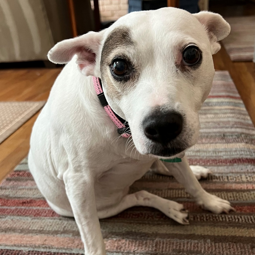 Miss Sadie