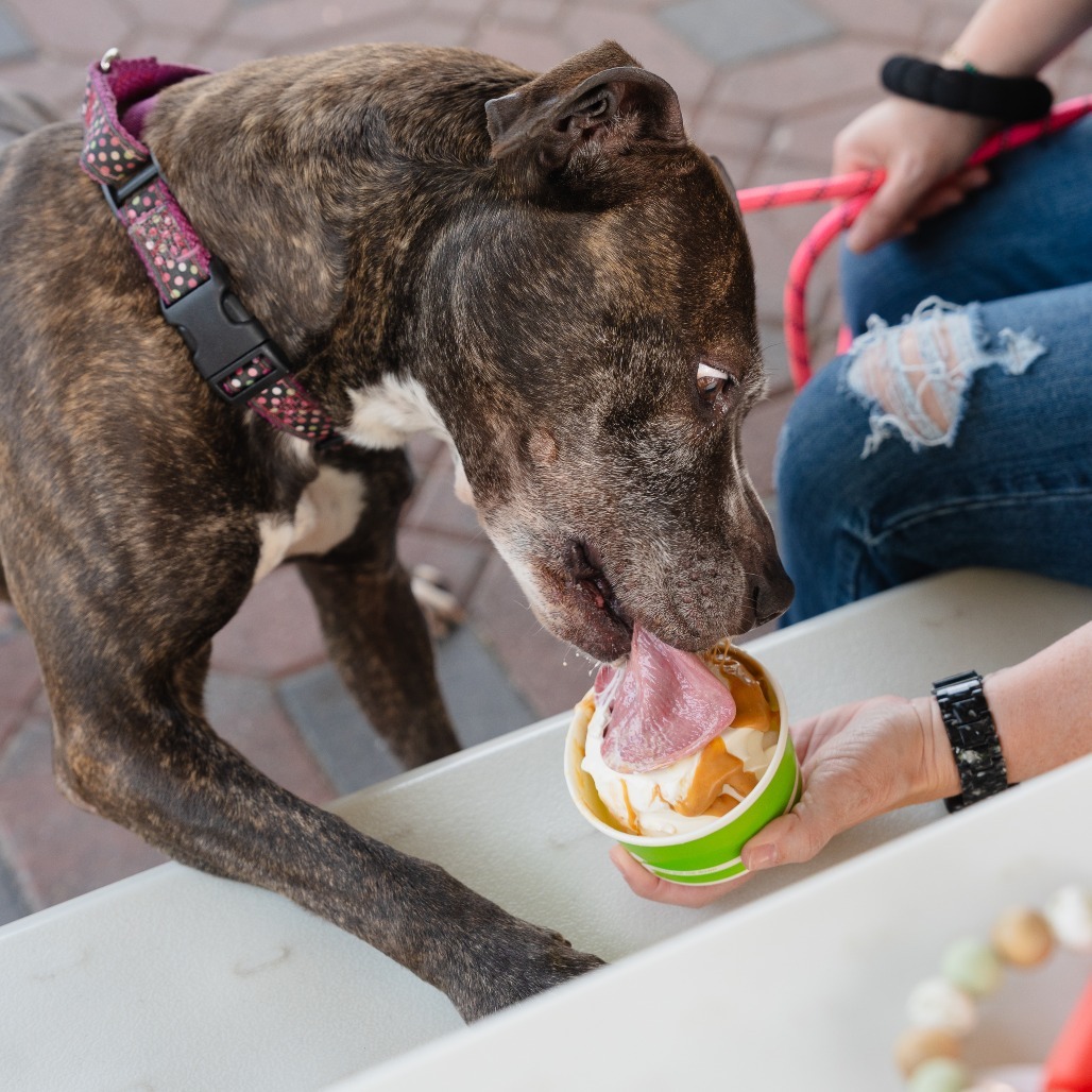 Marley (In Foster)
