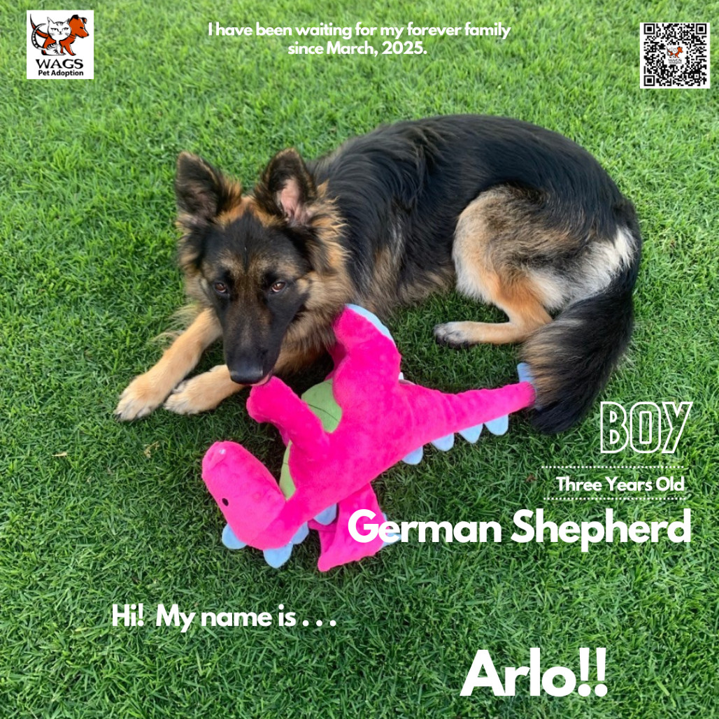 Arlo