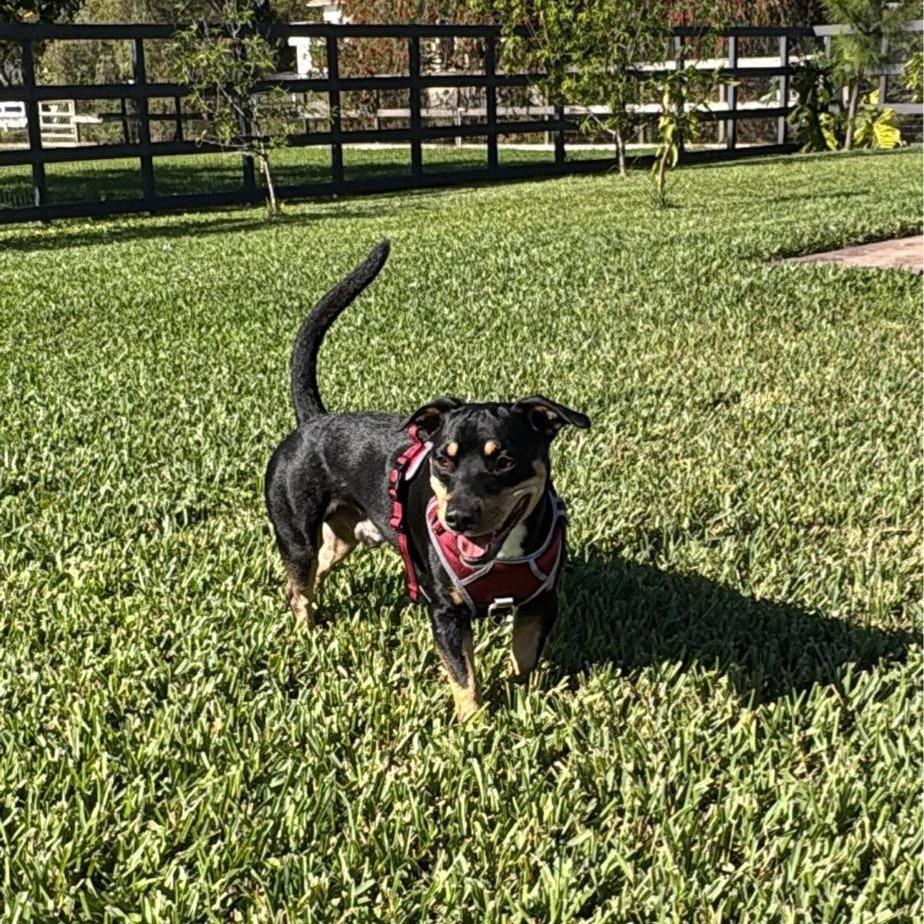 Milo