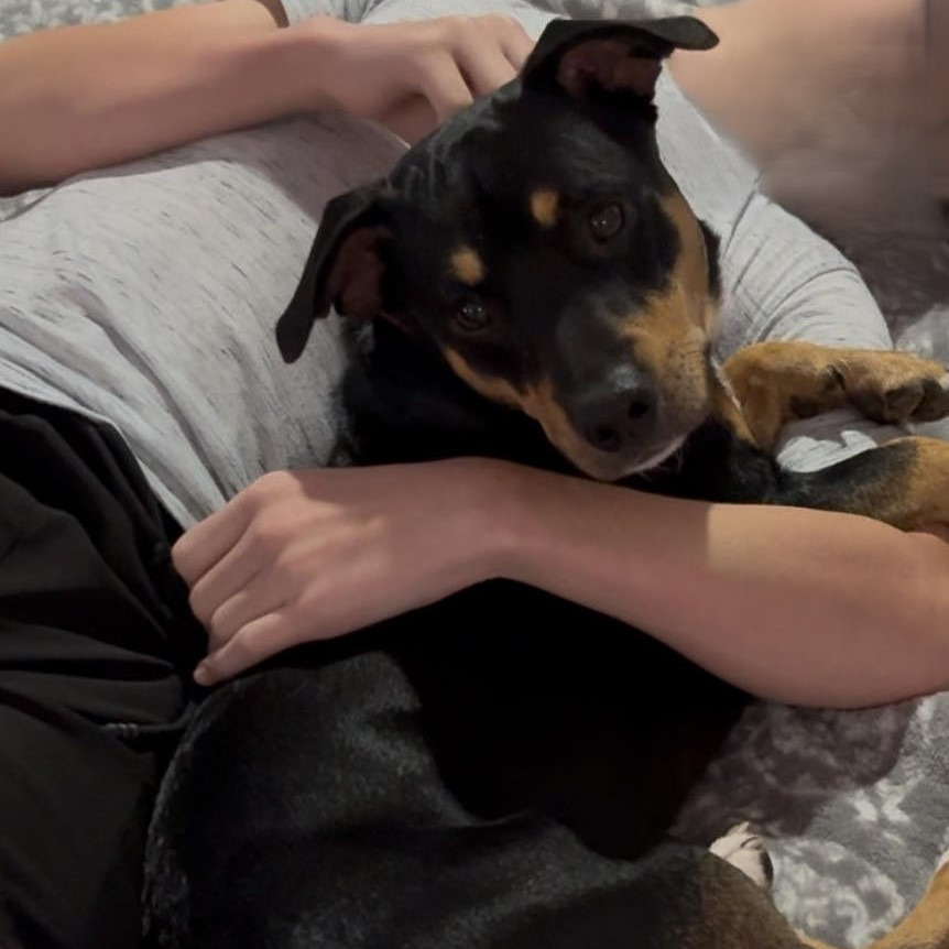 Milo