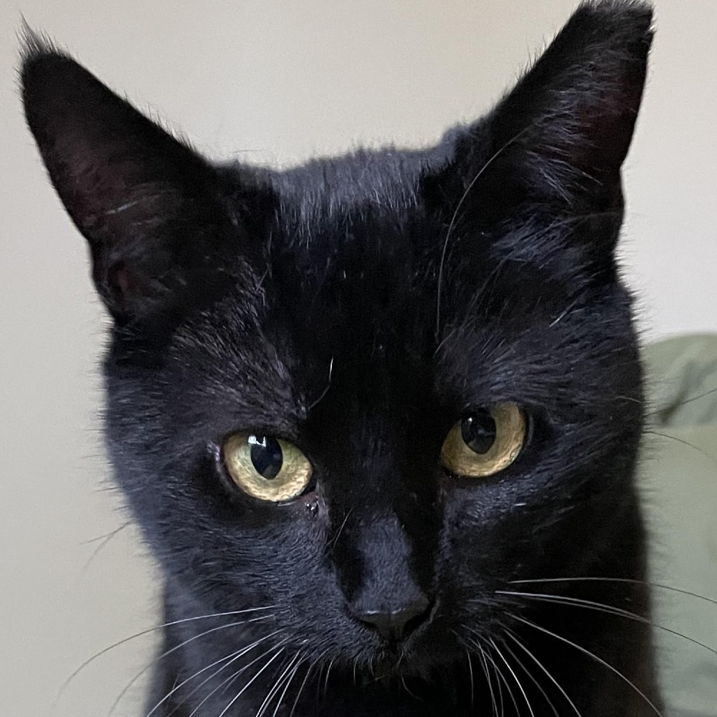 Black Betty