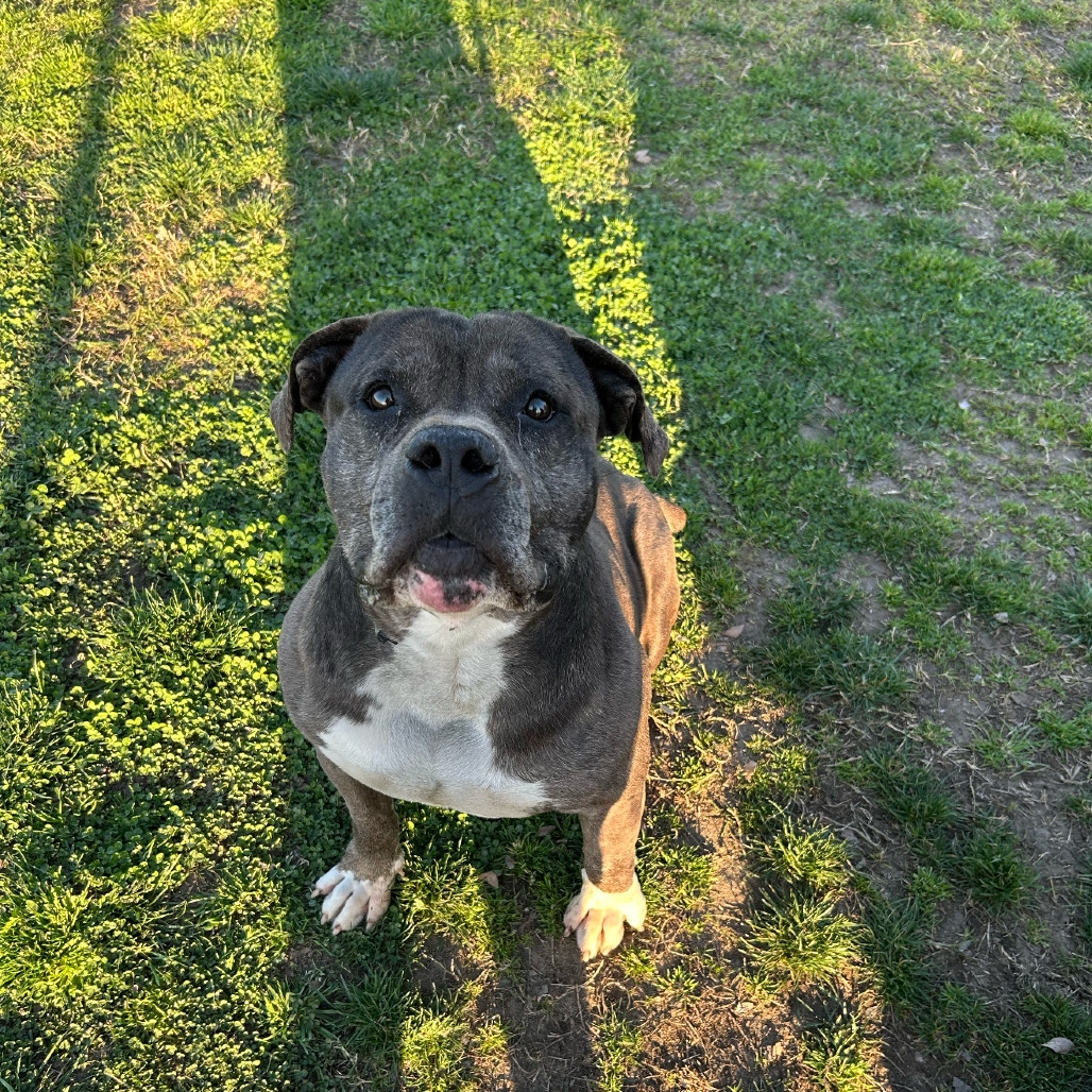 Rambo