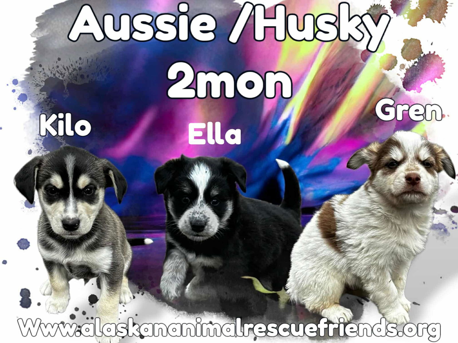 Bethel Bottle Pups - Kiko