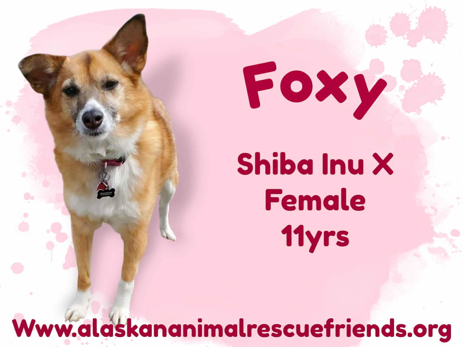 Foxy