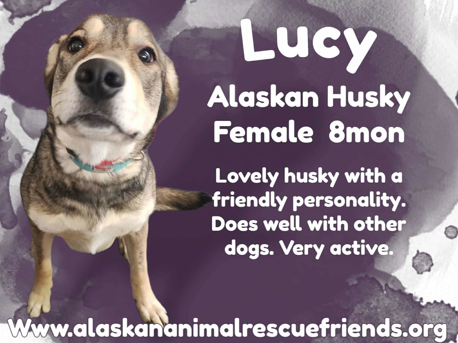 Lucy