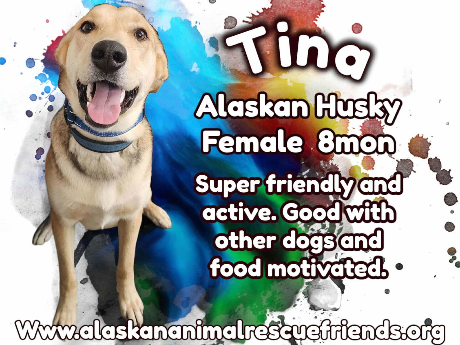 Tina