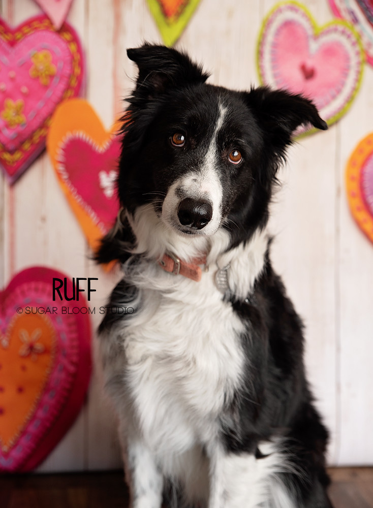 Ruff