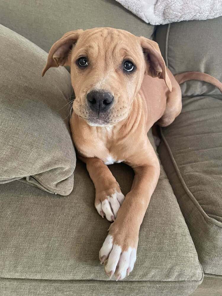Lucy
