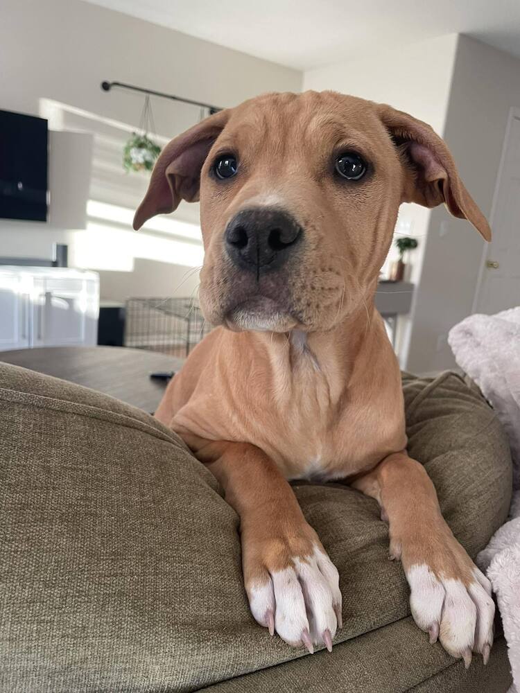 Lucy