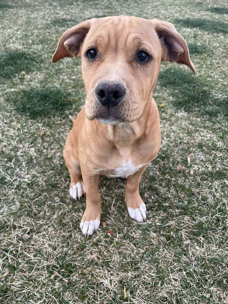 Lucy