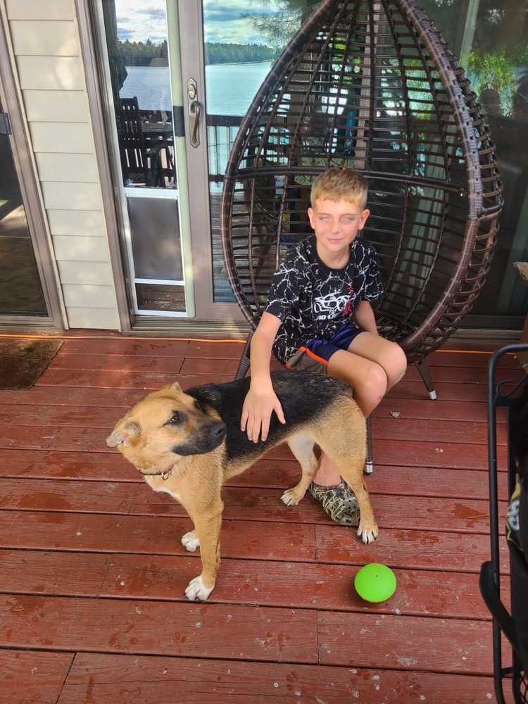 Wednesday, an adoptable German Shepherd Dog in Fredonia, WI, 53021 | Photo Image 5