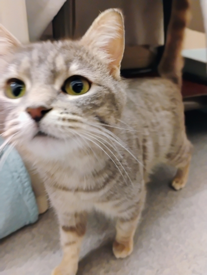 Zoe