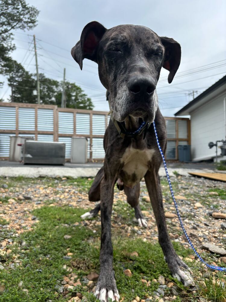 Cooper