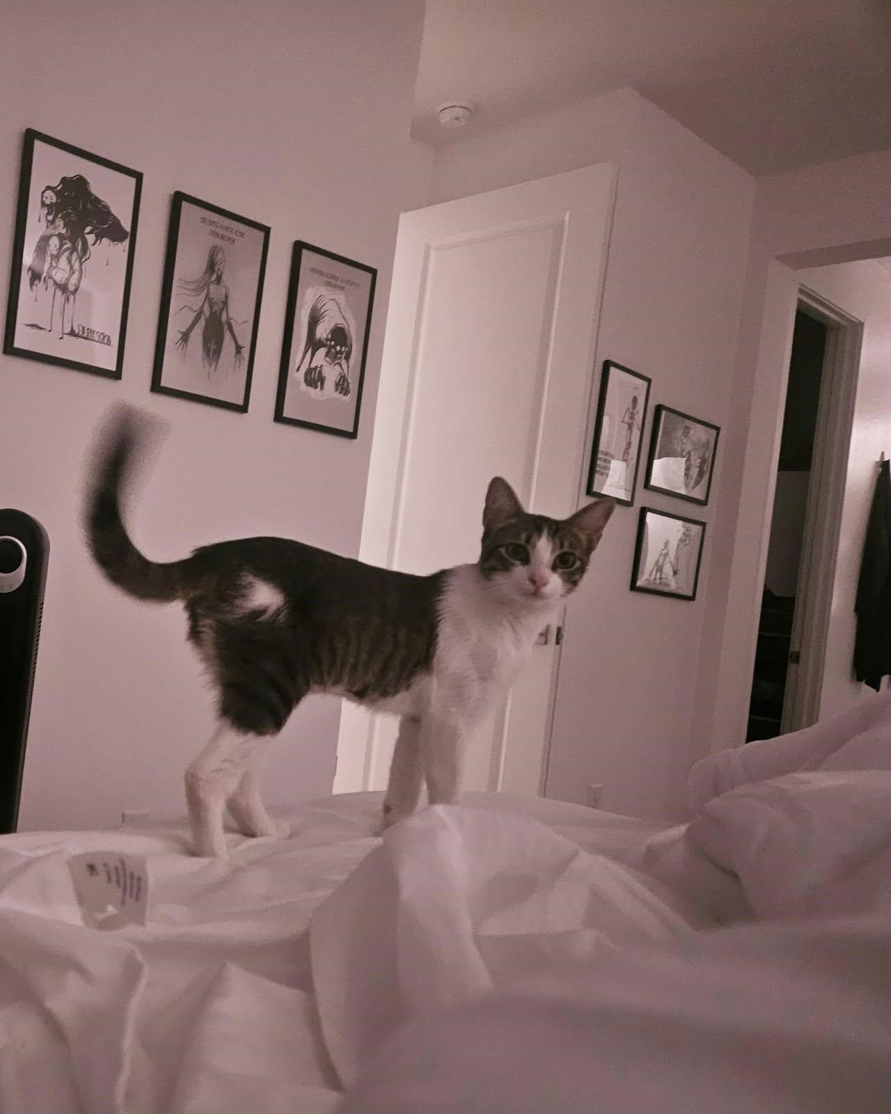 Gabby