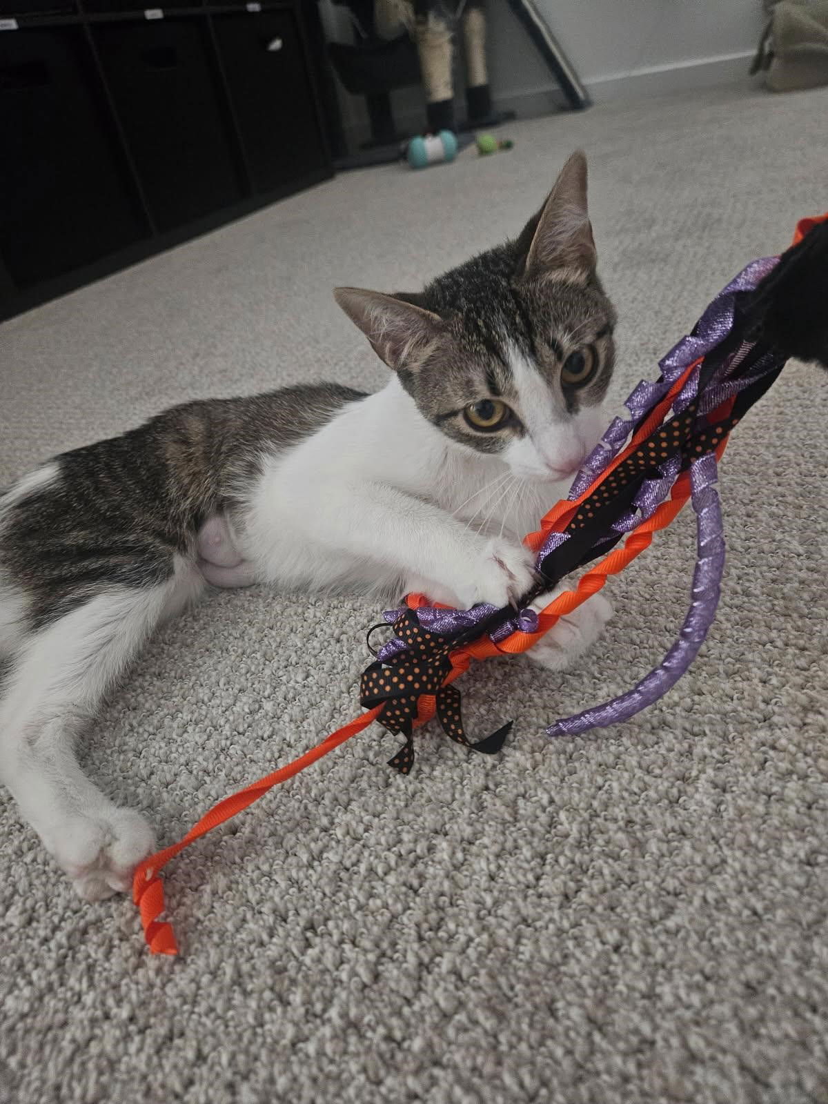 Gabby