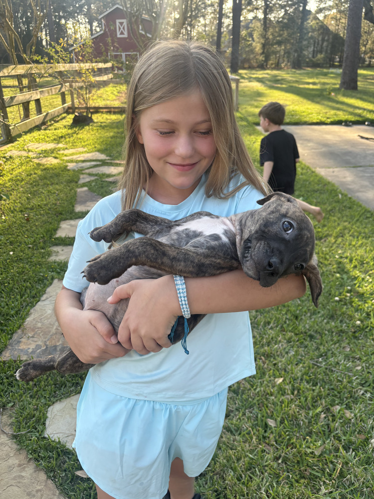 Elphy (Morri's Litter)