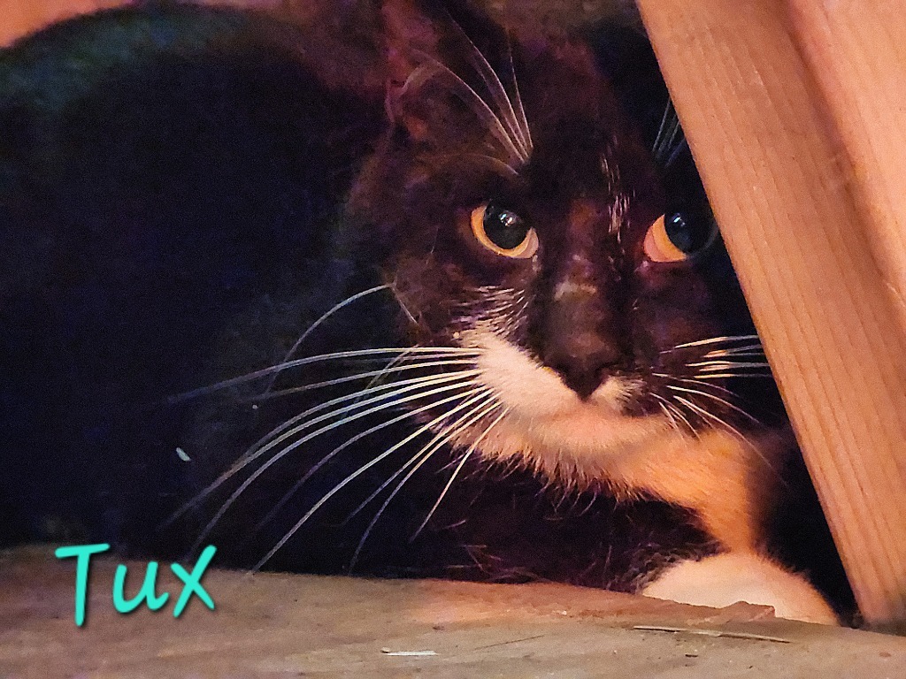 Tux