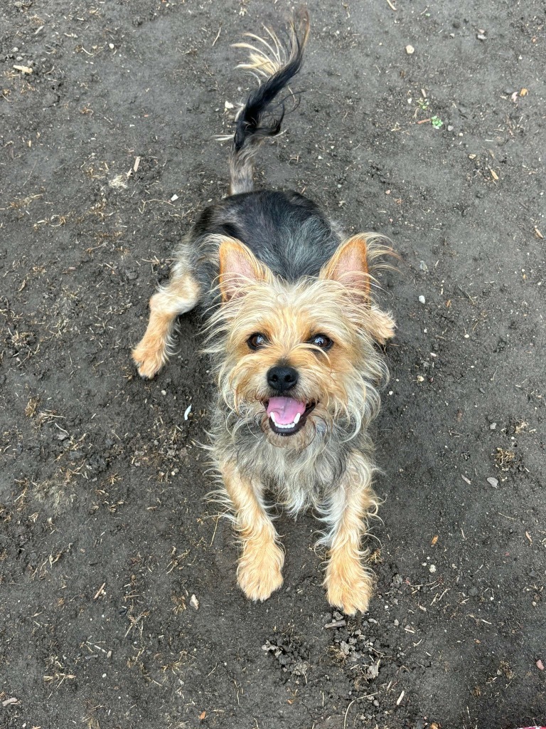 Frank
