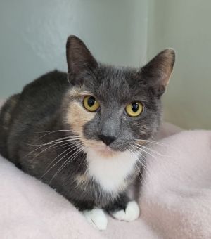 Chloe