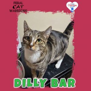 Dilly Bar
