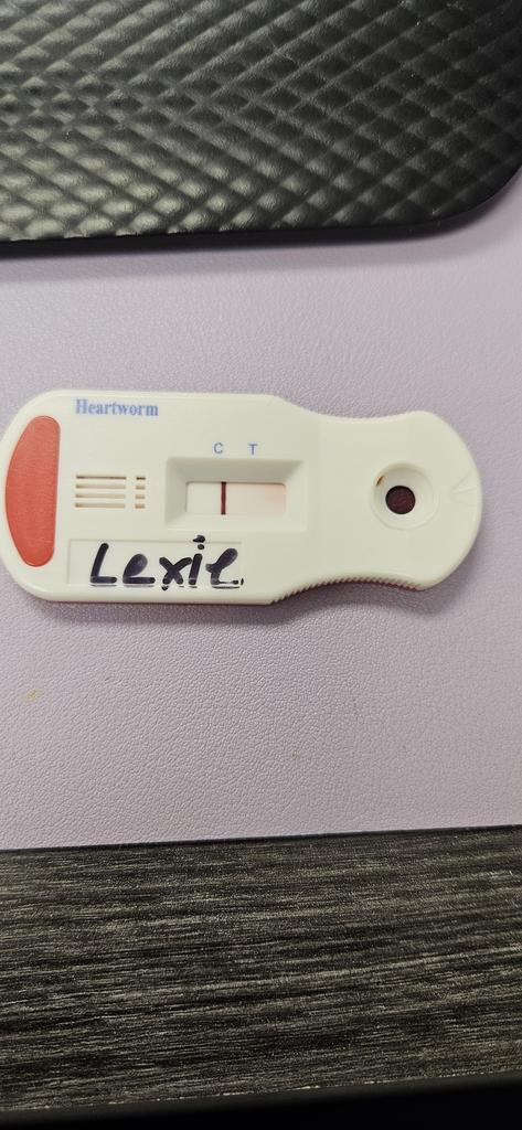 Lexie