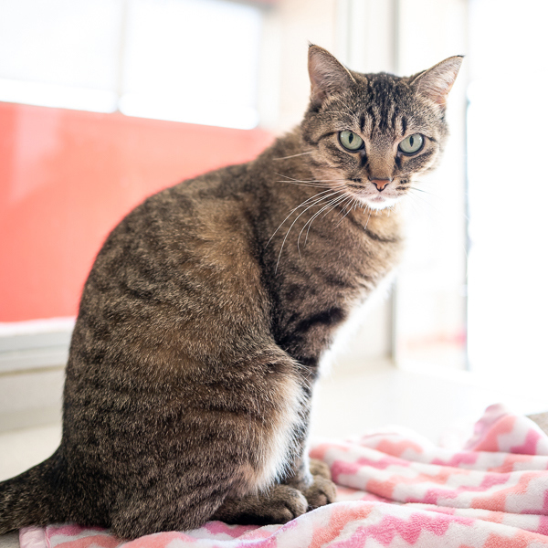 Tinker -- Bonded Buddy With Blu