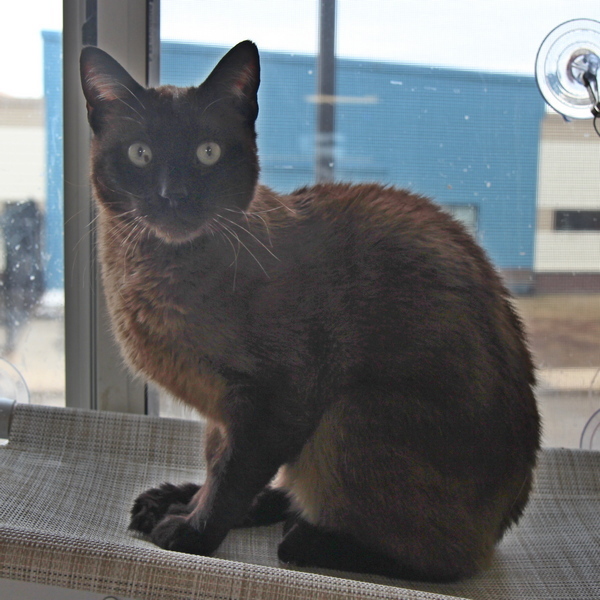 Blu -- Bonded Buddy With Tinker