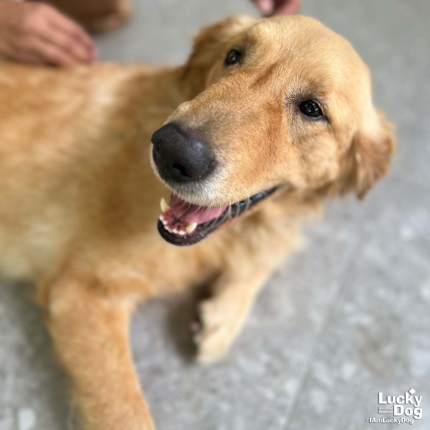 Sacha