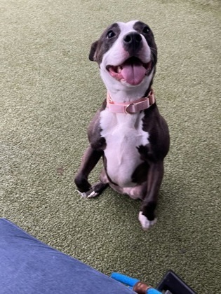 Princess Nala
