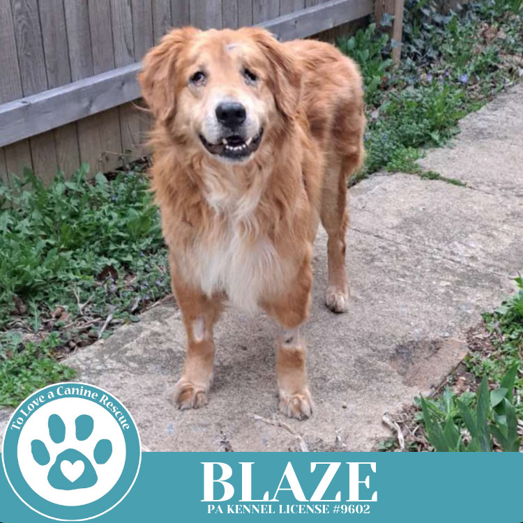 Blaze 041225
