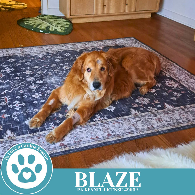 Blaze 041225